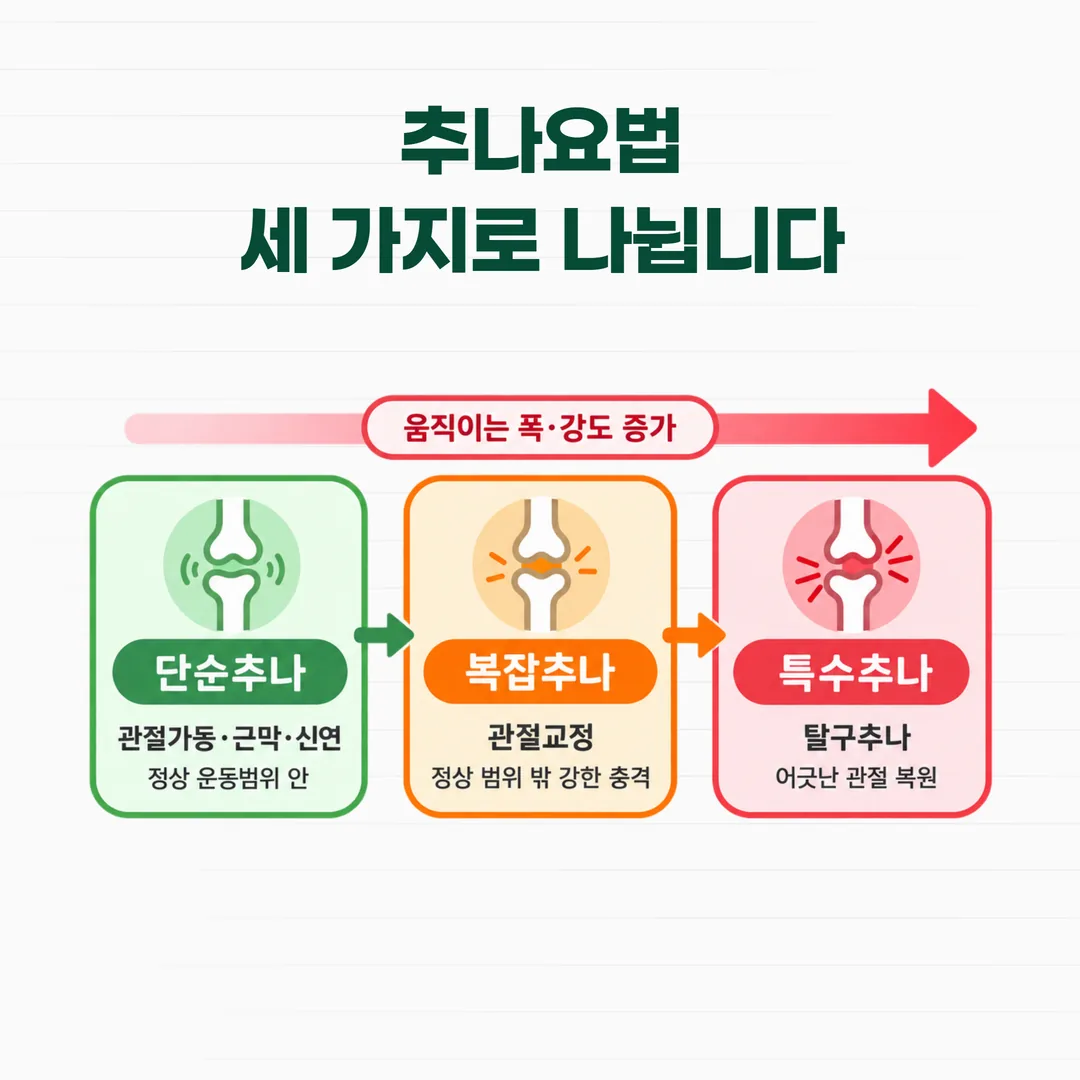 추나요법 기법 구분 개념도