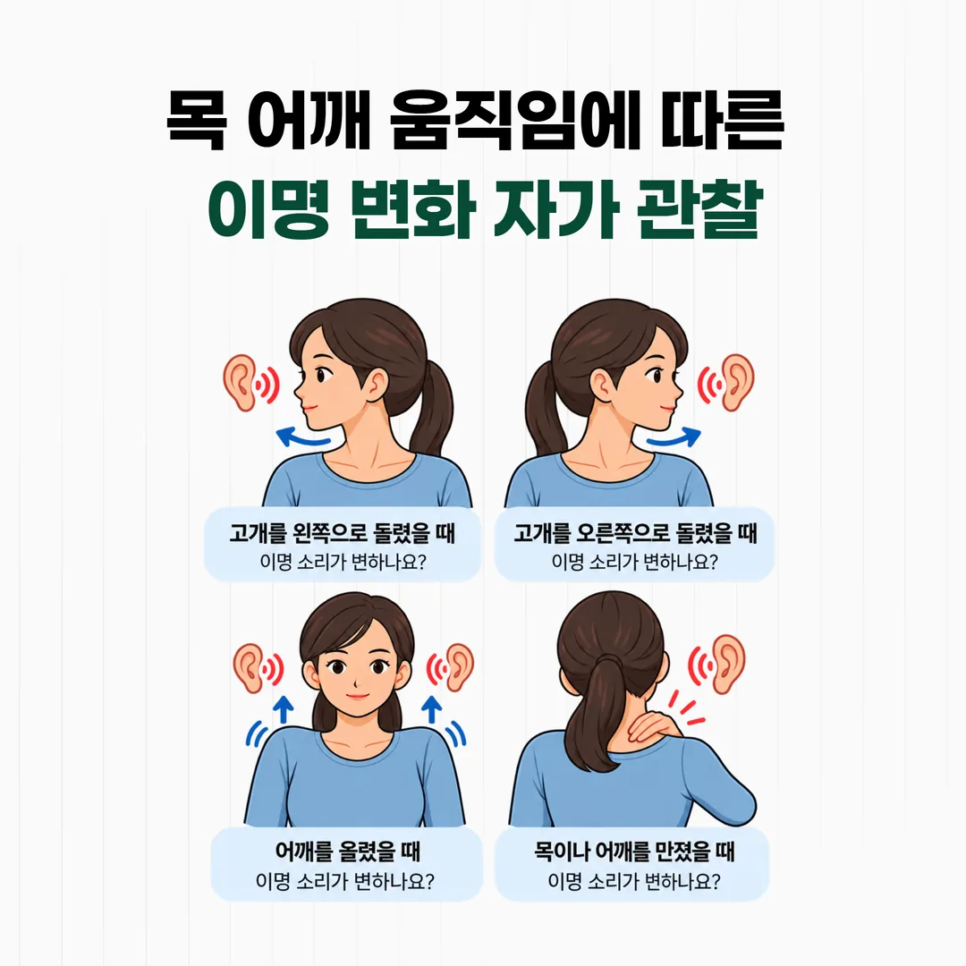 목 어깨 움직임에 따른 이명 변화 자가 관찰
